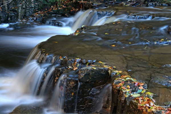 bowlees in teesdale