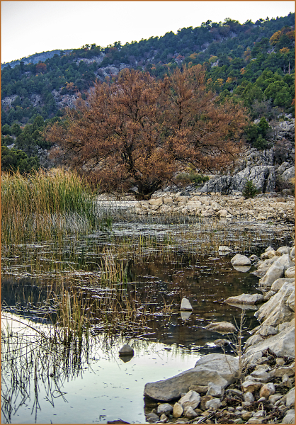 By the Lake