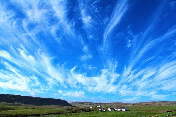 english hill,forest in teesdale