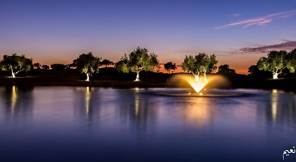 Fountain of light
