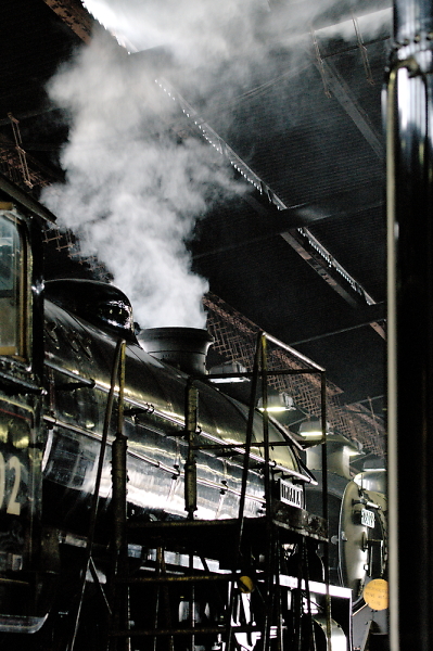 Impala simmering on shed at North York Moors Railway