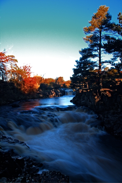 low force forest in teesdale