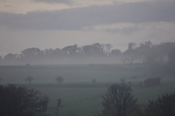 Misty morning