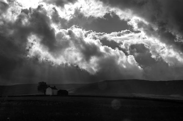 ner house, forrest in teesdale