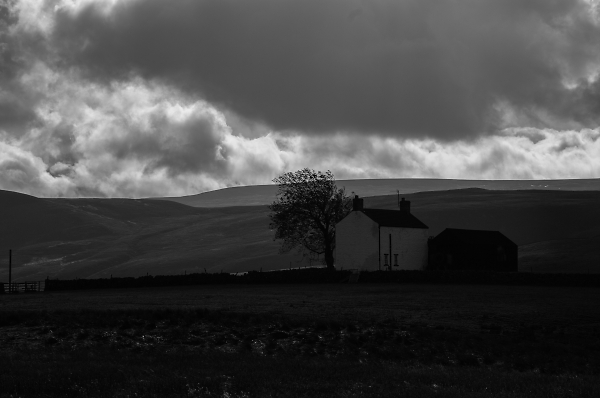 new houes. forest in teesdale