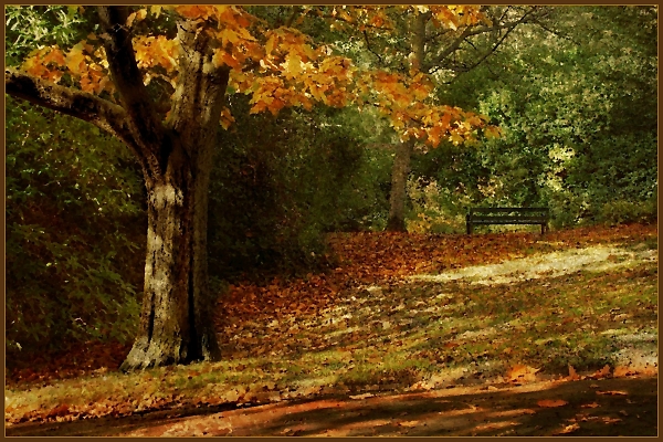 Painterly Autumn