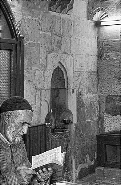 Reading in a Cell
