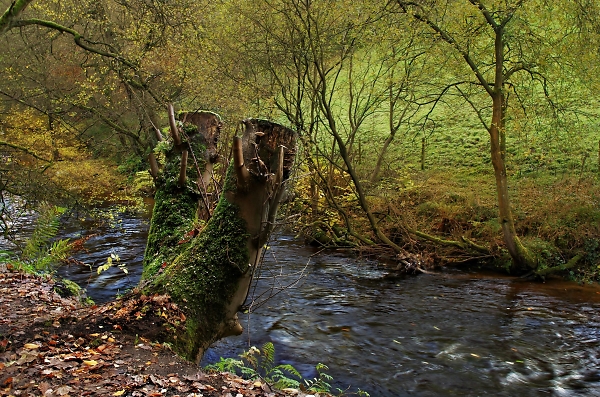 River's edge