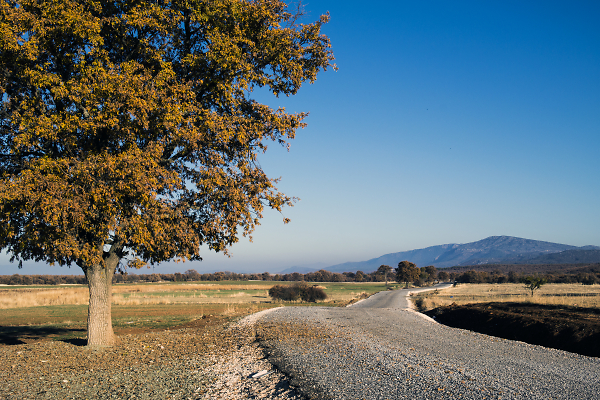 Road to the Lake