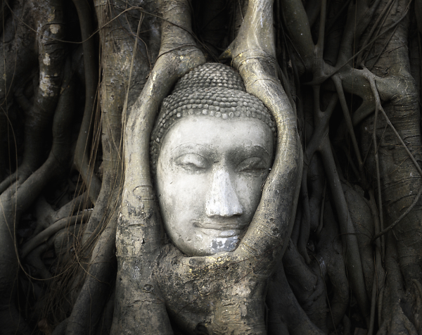 Sacred Buddha