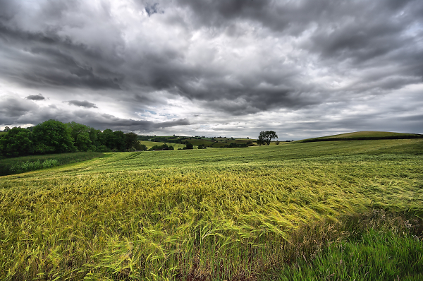 Shobrooke