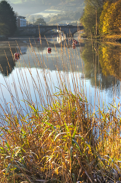 The crystallized dreams of autumn
