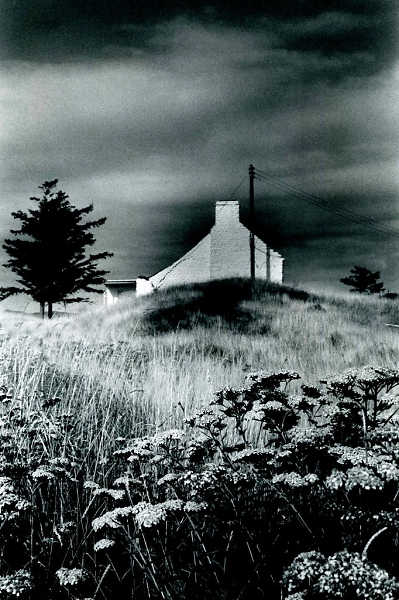 The Whisperer's Place