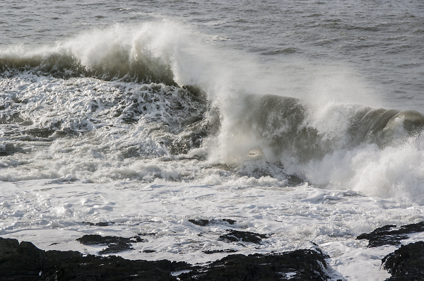 Wave