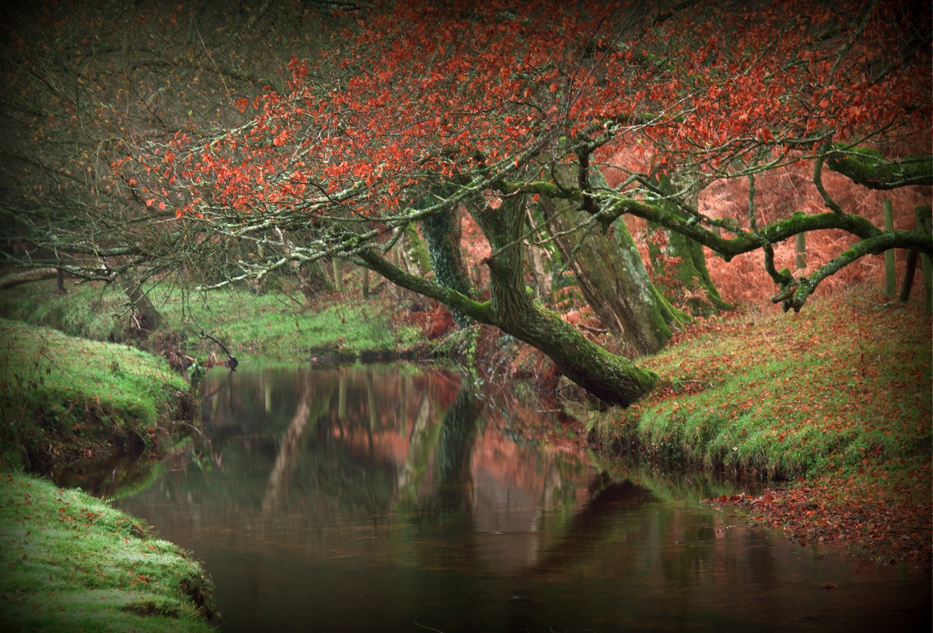 Reflection