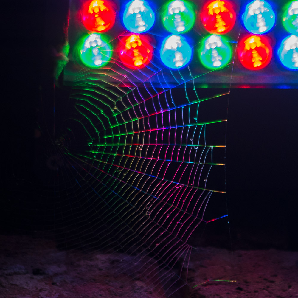 web