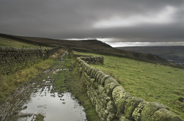 Calderdale Way near Todmorden