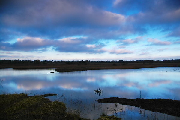 dusk over the fens