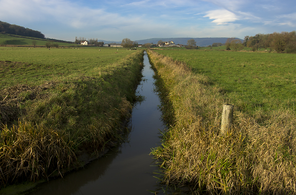 Farm on the Somerset Levels