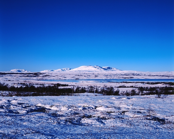 First Snow in the Mountains