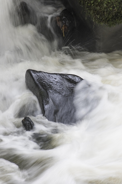 Healey Dell rock