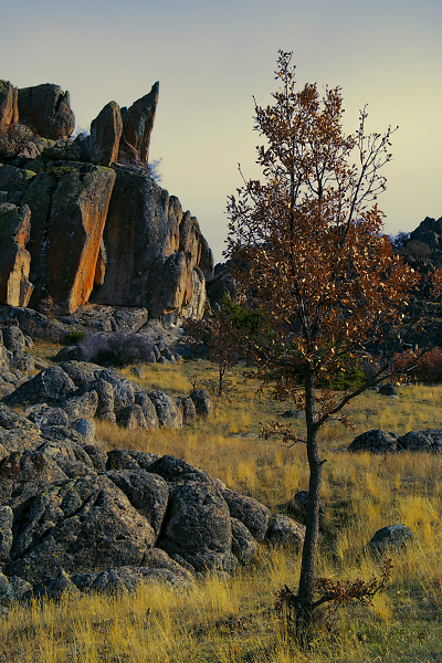 Late Autumn
