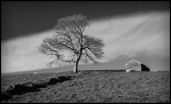 On Countisbury Hill