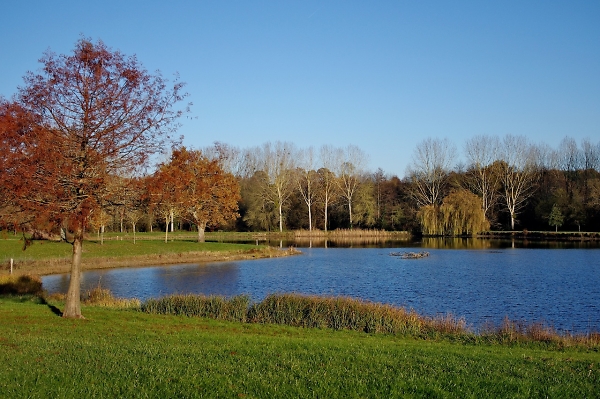 Our village lake