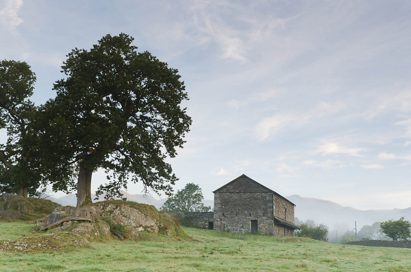 The Barn at Borrans Park