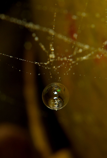 Waterdrop