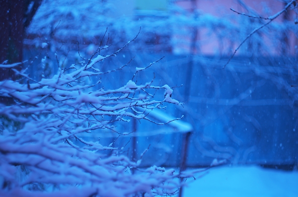 winter