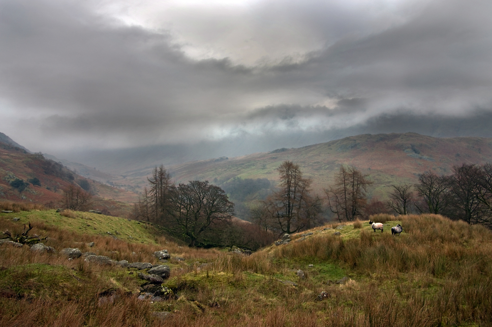 A Lake District Scene