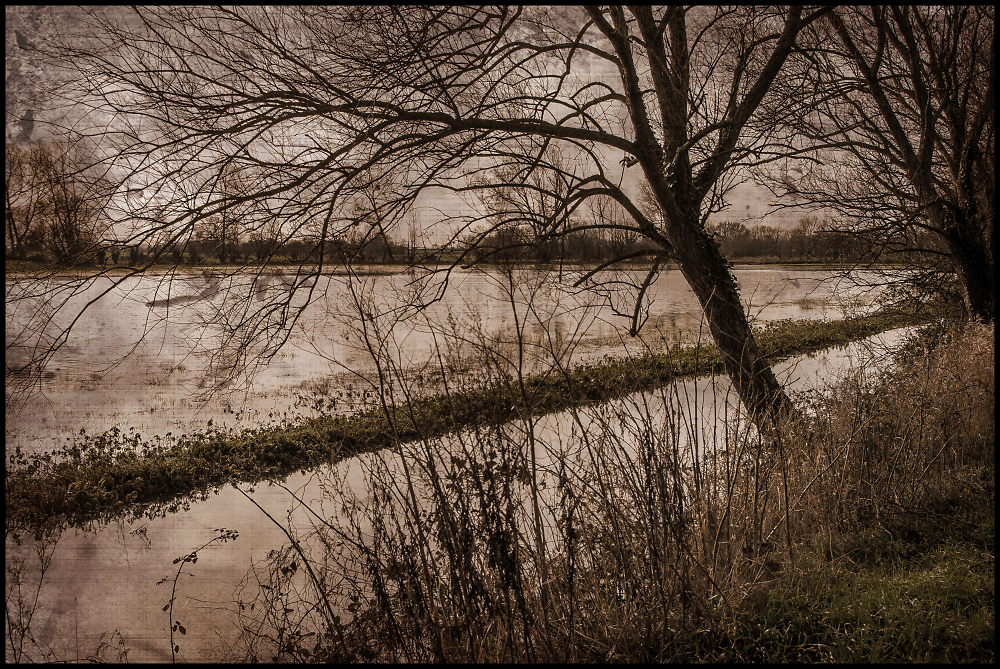 Drowned Farmland