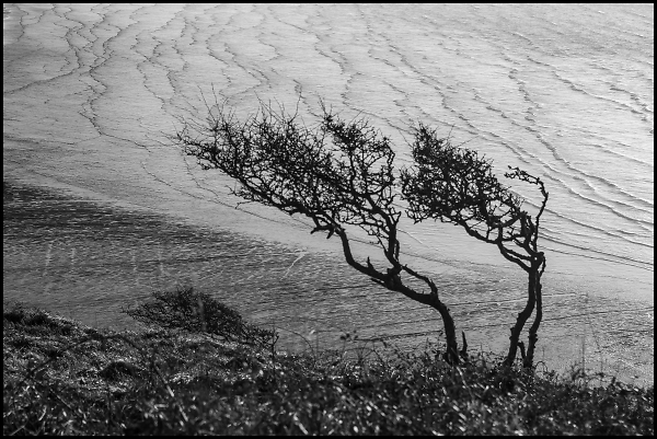 A Backdrop of Waves