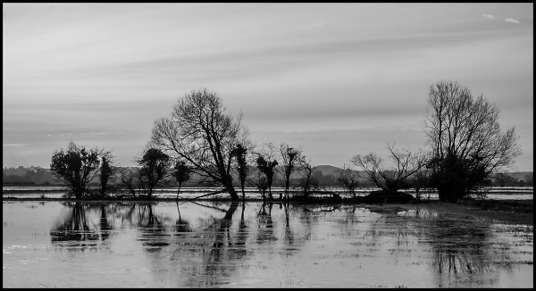 After the Rain
