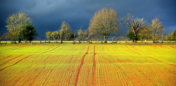 After The Storm