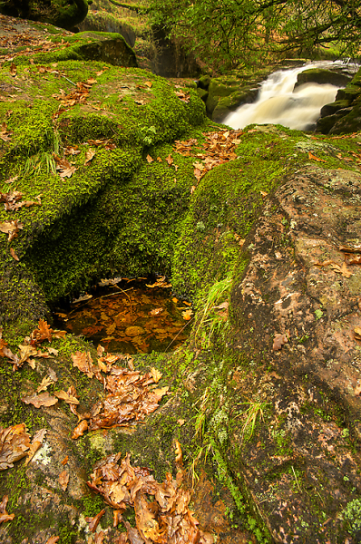 Basin of Audhn