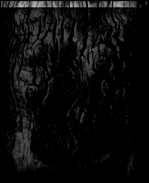 Gnarled