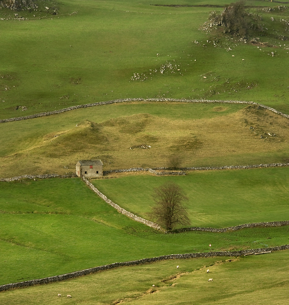 Isolated Landscape