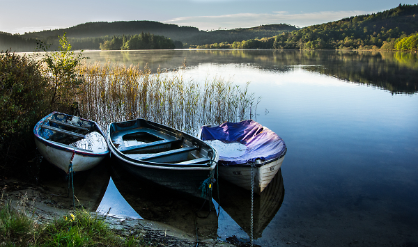 Loch Ard trio