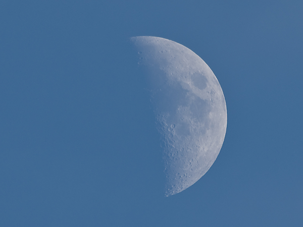Blue Moon