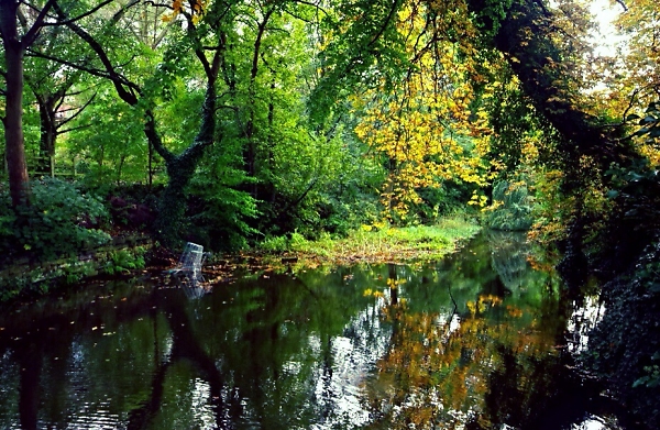 Morning on the Aire