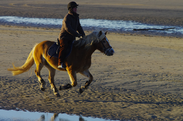 rider