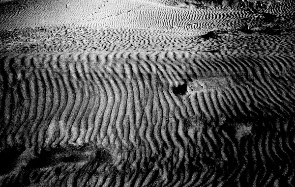 Sand Textures [Grain with Grain]