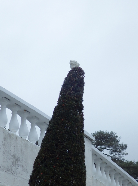 Statue in tree coat