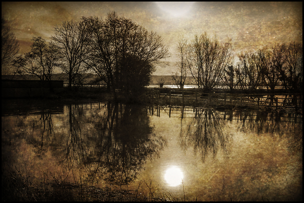 Water World