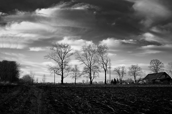 Winter Farmstead