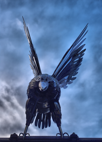 You Lookin' At My Bird?
