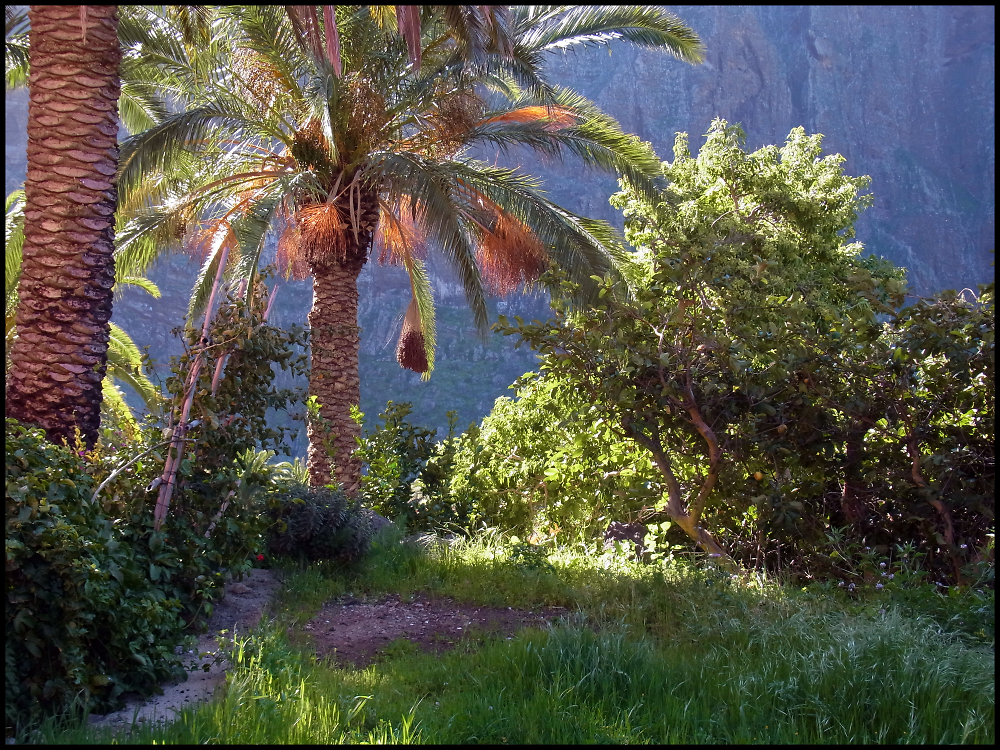 Early Sunshine in Masca