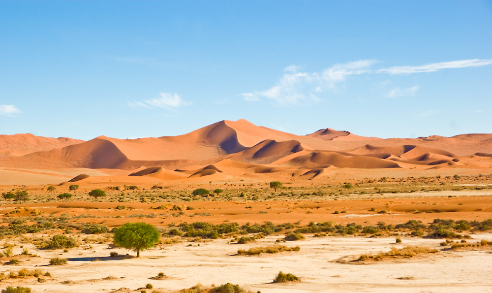Namibian sand dunes